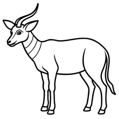 Obraz premium Saola line art vector