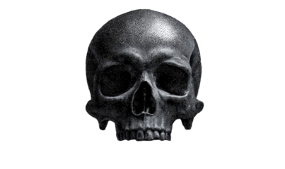 Detailed grayscale skull graphic