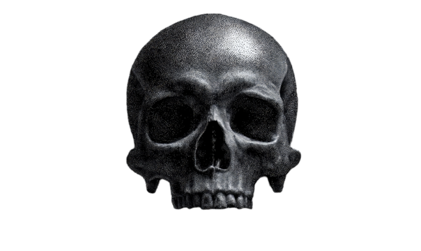 Detailed grayscale skull graphic