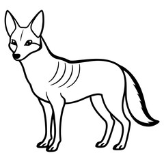 Jackal line art vector