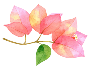 Two brown paper bags of different sizes isolated on transparent background