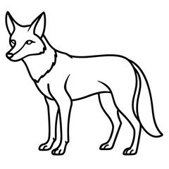 Jackal line art vector