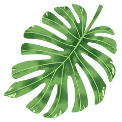  "Single red maple leaf, isolated on transparent background, realistic watercolor style, high resolution" 