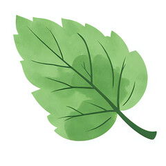  "Single red maple leaf, isolated on transparent background, realistic watercolor style, high resolution" 