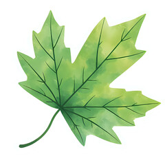  "Single red maple leaf, isolated on transparent background, realistic watercolor style, high resolution" 