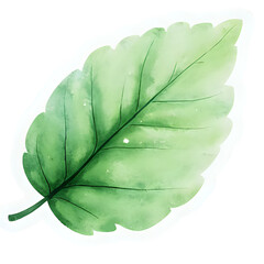  "Single red maple leaf, isolated on transparent background, realistic watercolor style, high resolution" 