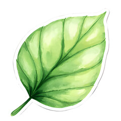  "Single red maple leaf, isolated on transparent background, realistic watercolor style, high resolution" 