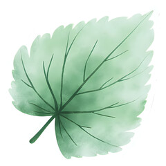  "Single red maple leaf, isolated on transparent background, realistic watercolor style, high resolution" 