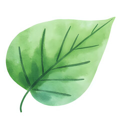  "Single red maple leaf, isolated on transparent background, realistic watercolor style, high resolution" 