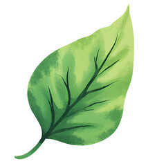  "Single red maple leaf, isolated on transparent background, realistic watercolor style, high resolution" 