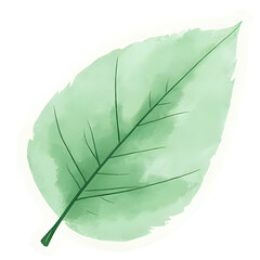  "Single red maple leaf, isolated on transparent background, realistic watercolor style, high resolution" 