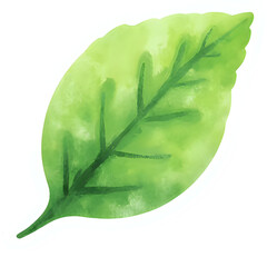  "Single red maple leaf, isolated on transparent background, realistic watercolor style, high resolution" 