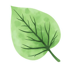  "Single red maple leaf, isolated on transparent background, realistic watercolor style, high resolution" 