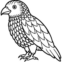 Kakapo line art vector