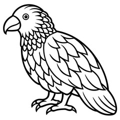 Kakapo line art vector