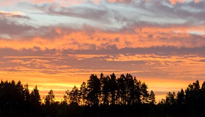 Fototapeta premium Fiery Sunset Sky Over Silhouetted Trees