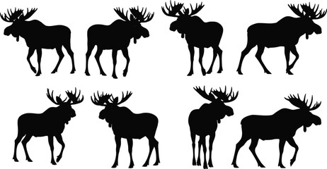 Moose vector set, bull moose silhouettes, black illustrations, wildlife graphics, animal icons, forest elements, antlers, nature design, hunting theme, mammal shapes