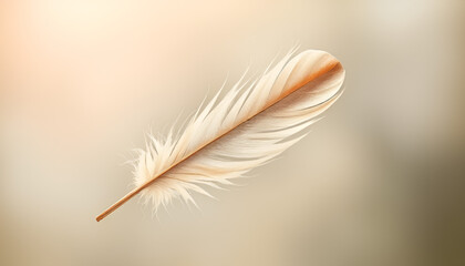 Obraz premium feather on a black background