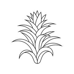 Detailed black and white outline of pineapple plant with spiky leaves and crown – tropical botanical vector sketch on white background.