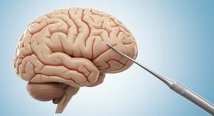 Brain Stimulation Concept: Deep Brain Stimulation Therapy