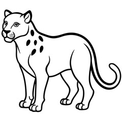 Snow leopard vector