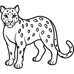 Snow leopard vector