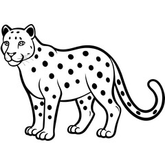 Snow leopard vector
