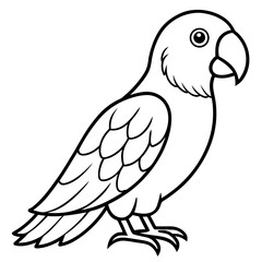 parrot line art vector