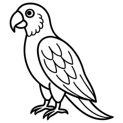 parrot line art vector