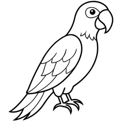 parrot line art vector