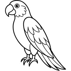 parrot line art vector