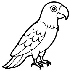 parrot line art vector