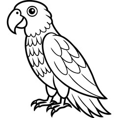 parrot line art vector