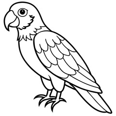 parrot line art vector