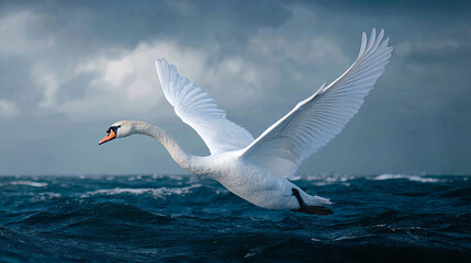 Majestic White Swan in Flight Over Ocean Waves