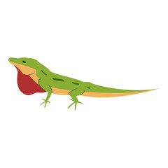 Cartoon Reptiles and Amphibians Illustration 