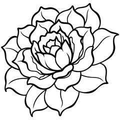 Obraz premium Peony art vector