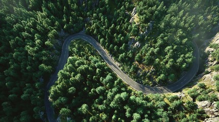 Trading (930)dvd image