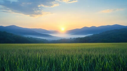Obraz premium Sun rising over misty mountains with green grass field in foreground under a partly cloudy sky, evoking calm and peaceful morning atmosphere