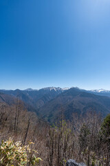 しらびそ高原の景色