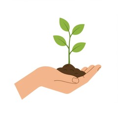 Hand Holding a Young Plant Sprout with Green Leaves