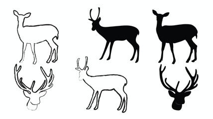 Collection of deer vector silhouettes. Vector white tail deer