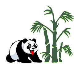 panda with bamboo