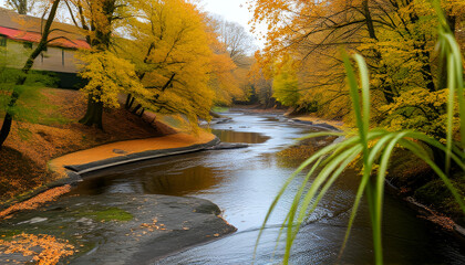 river in autumn