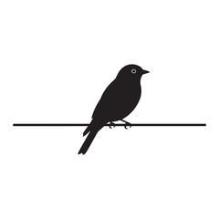 Silhouette of bird perched on branch