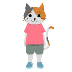 赤い服を着た直立で立っている三毛猫