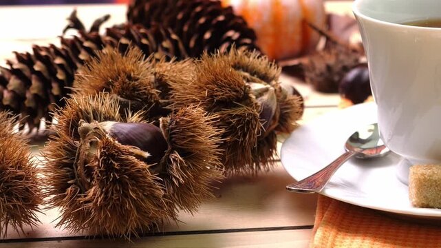 Primo piano due ricci di castagne con tazza di bevanda calda, paesaggio autunnale