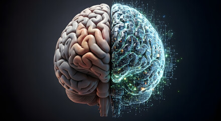 Conceptual depiction showcasing the dichotomy of human intellect alongside advanced computational intelligence, symbolizing the convergence of organic thought and digitized cognition in neural