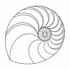 Obraz premium Elegant black and white illustration of a nautilus shell s logarithmic spiral pattern