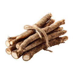Burdock root or kobo on transparent background